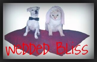 WEDDED BLISS