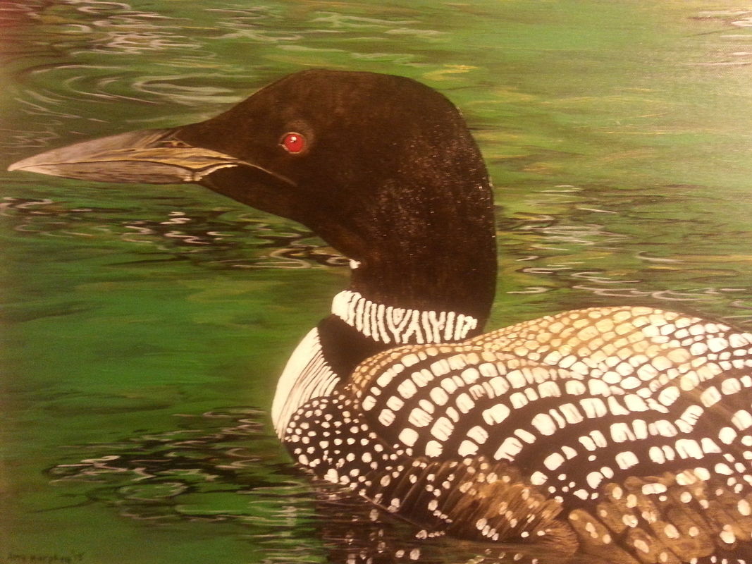Loon on Annebesacook Lake
