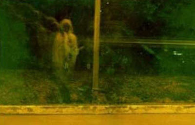 Haunted Haunted