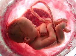 A Child Unborn A Child Unborn