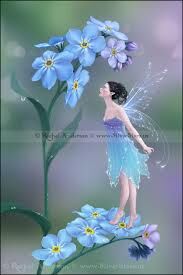 FORGET-ME-NOT !?x
