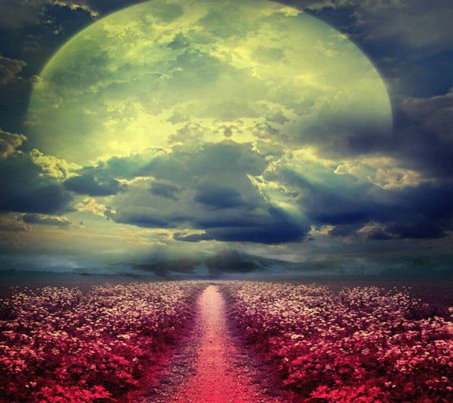 The Pathway of Time The Pathway of Time