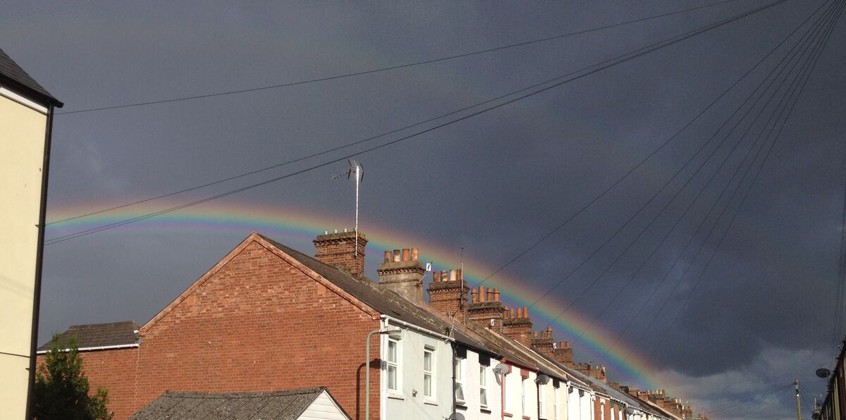 'Sing a Rainbow Too' 'Sing a Rainbow Too'