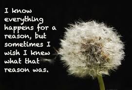 I Wish !?X I Wish !?X