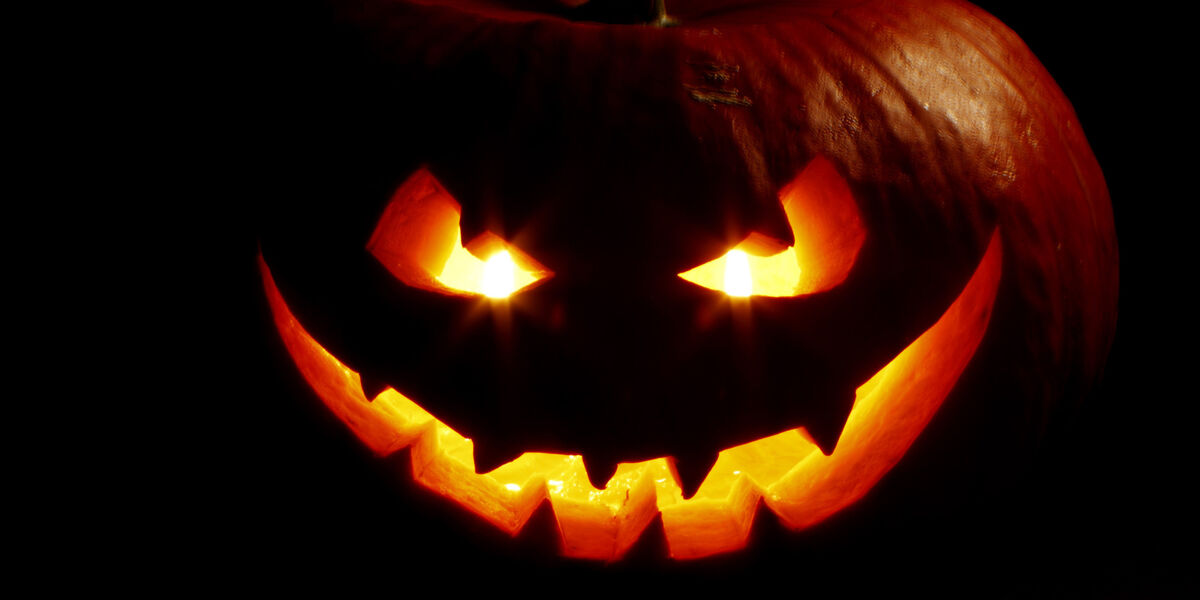 Night of Fright Night of Fright