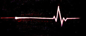Echoes in the Heart Echoes in the Heart