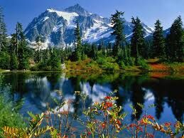 Travel the world