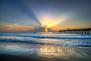 A Divine Life
