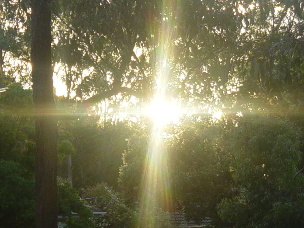 On me the Sun will shine On me the Sun will shine
