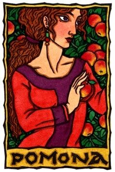 Pomona Pomona