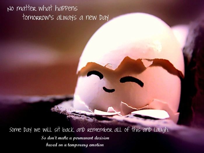 POOR HUMPTY !?x POOR HUMPTY !?x