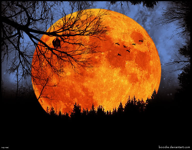 Harvest Moon 