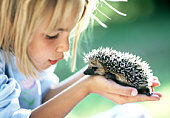 Ode to Prickly Things