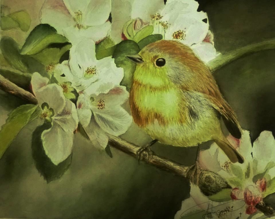-Spring-