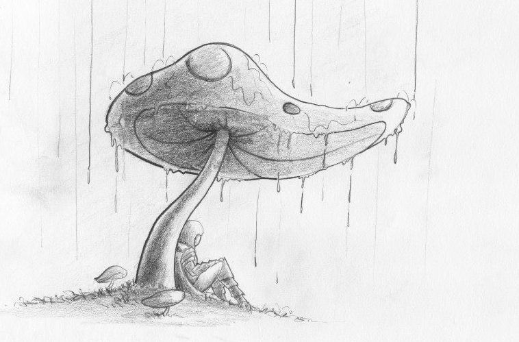 -The Umbrella-