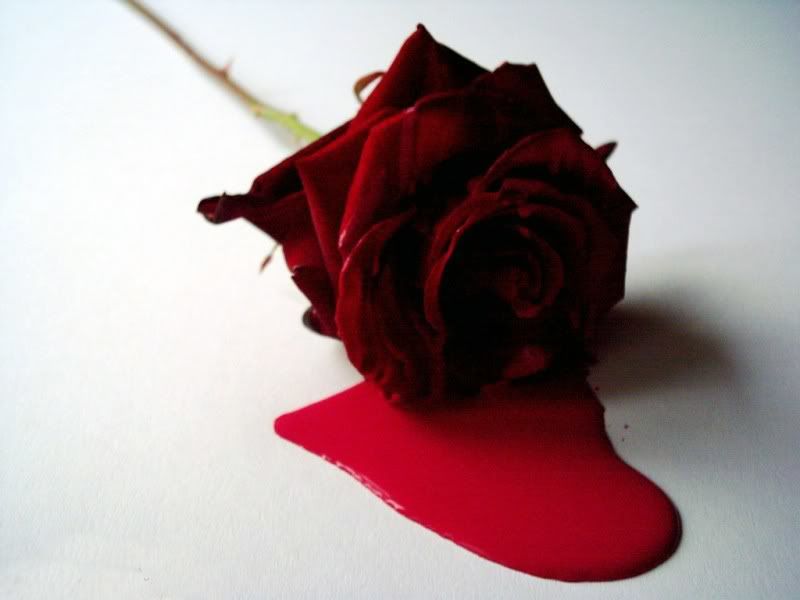 The Bleeding Rose The Bleeding Rose
