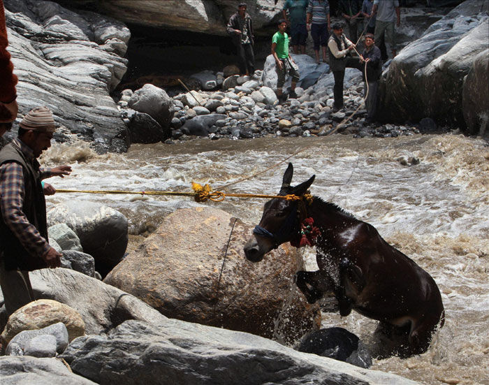 1.4.NECESSITY OF CHARITY