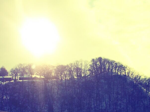 Winter Sun