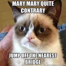 CONTRARY ...MARY !?x CONTRARY ...MARY !?x