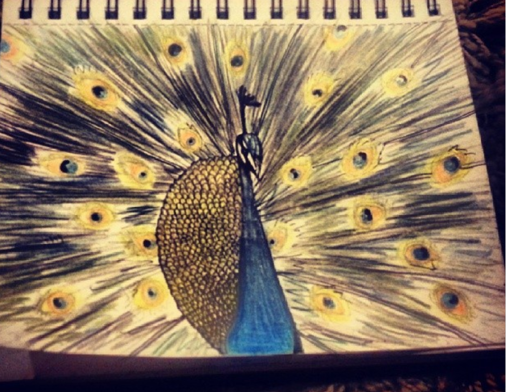 Peacock