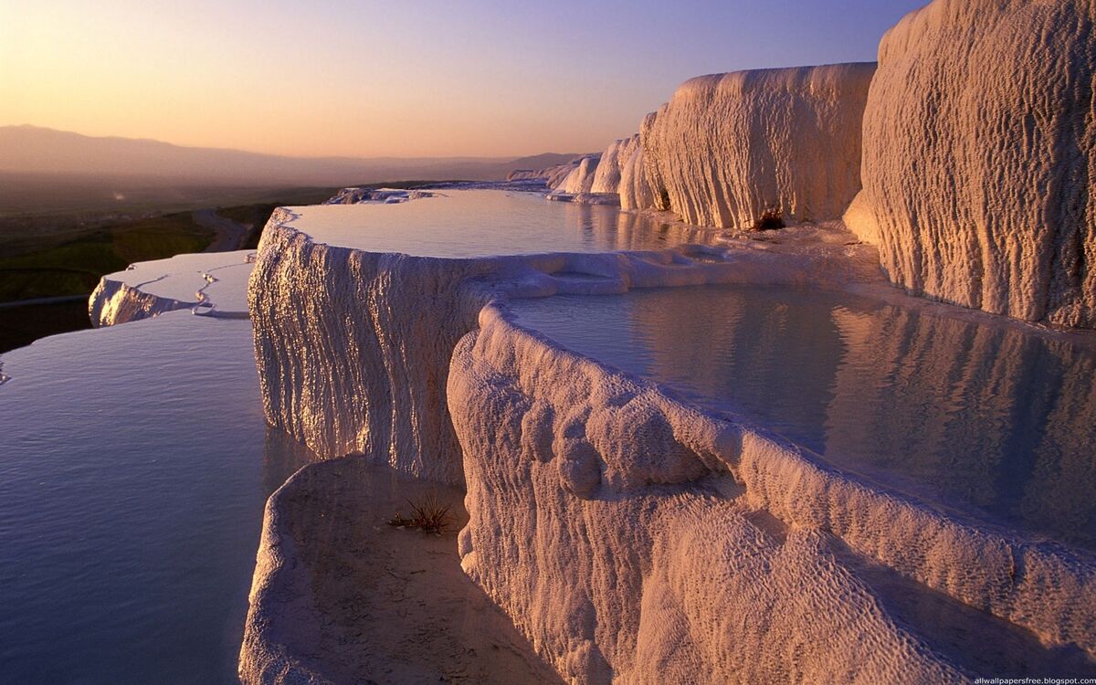 The pool 