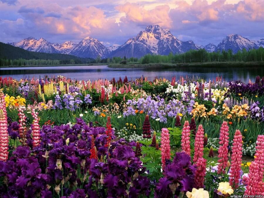 Fascinating World Fascinating World