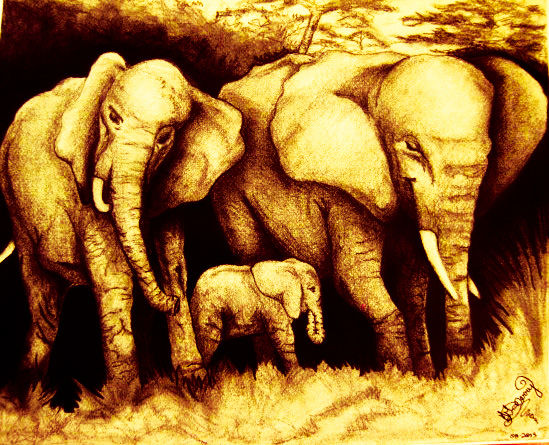Sketchbook Elephants