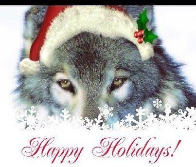 Christmas Wolf Christmas Wolf