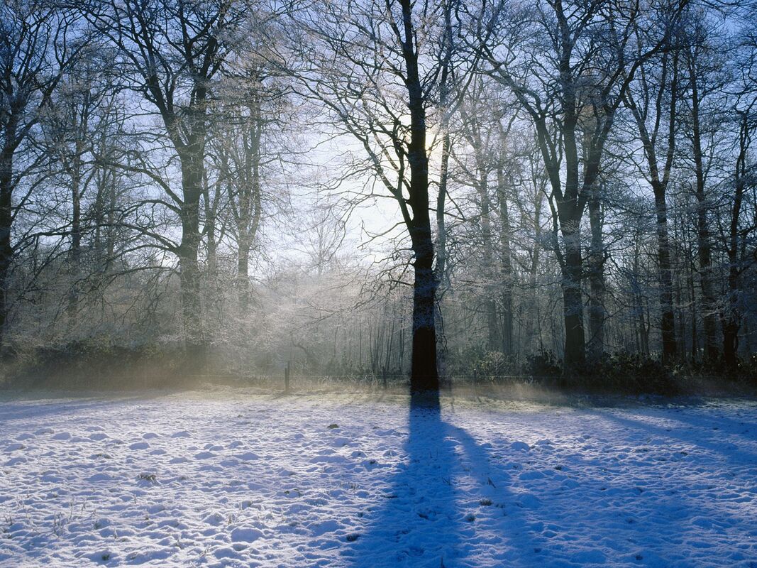 Winter Winter