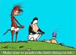 THE..LITTLE THING.S !?X
