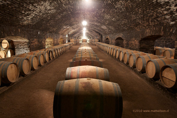 Wine