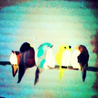 Vibrant Little Birds