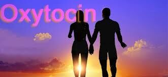 oxytocin oxytocin