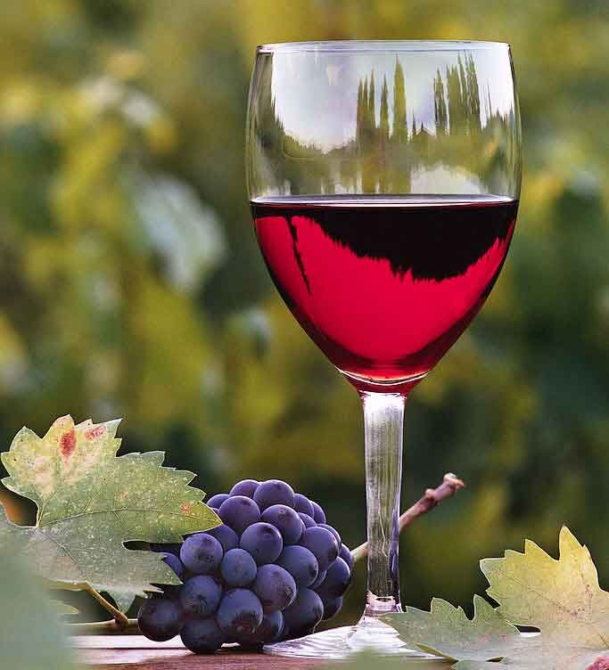 Wine Wine