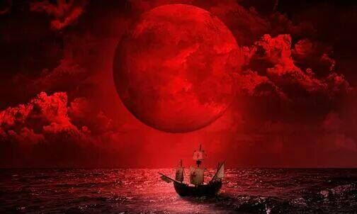 Dream of Sailing