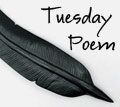 For the poets For the poets