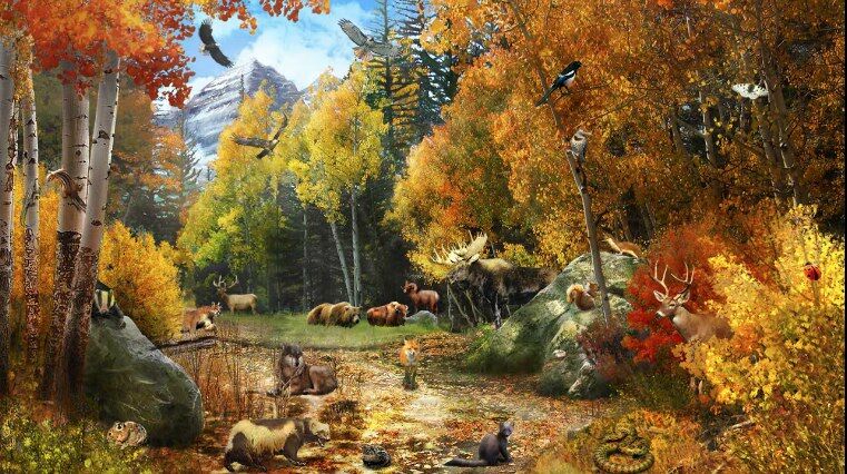 Nature's Ways Nature's Ways