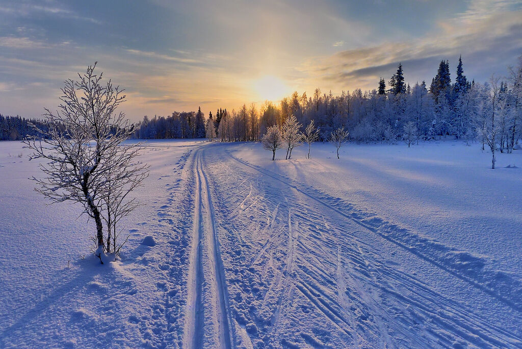 Winter is Coming Winter is Coming