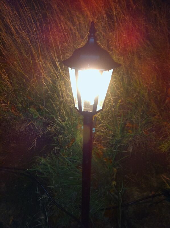 Doth the moth know Doth the moth know