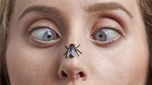 BUZZ!...OFF ?X