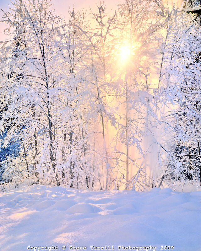 As the Snow Flies As the Snow Flies