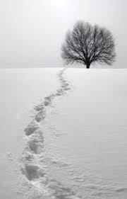 Winter Runaway Winter Runaway