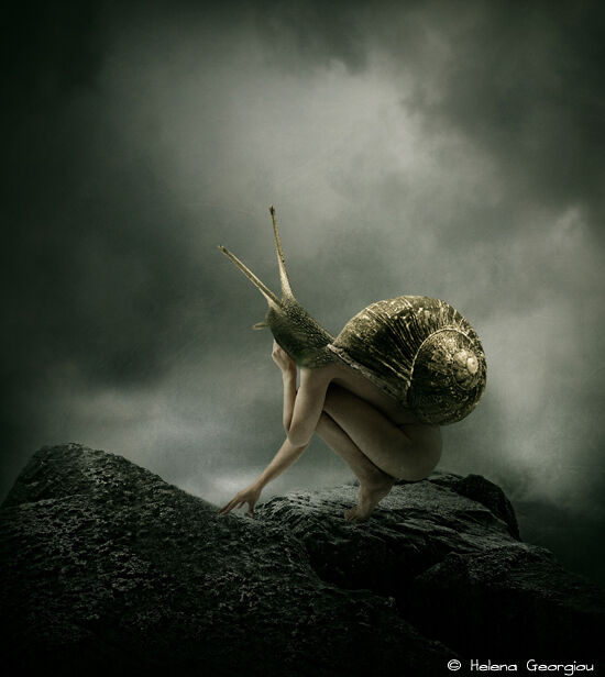 LONELY SNAIL
