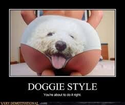 DOGGIE..FASHION!?X