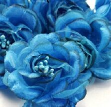 "FLORE AZURE" "FLORE AZURE"