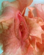 WATER MY EROTIC FLOWER..FOR ME!?X