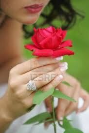 A Rose for Donna