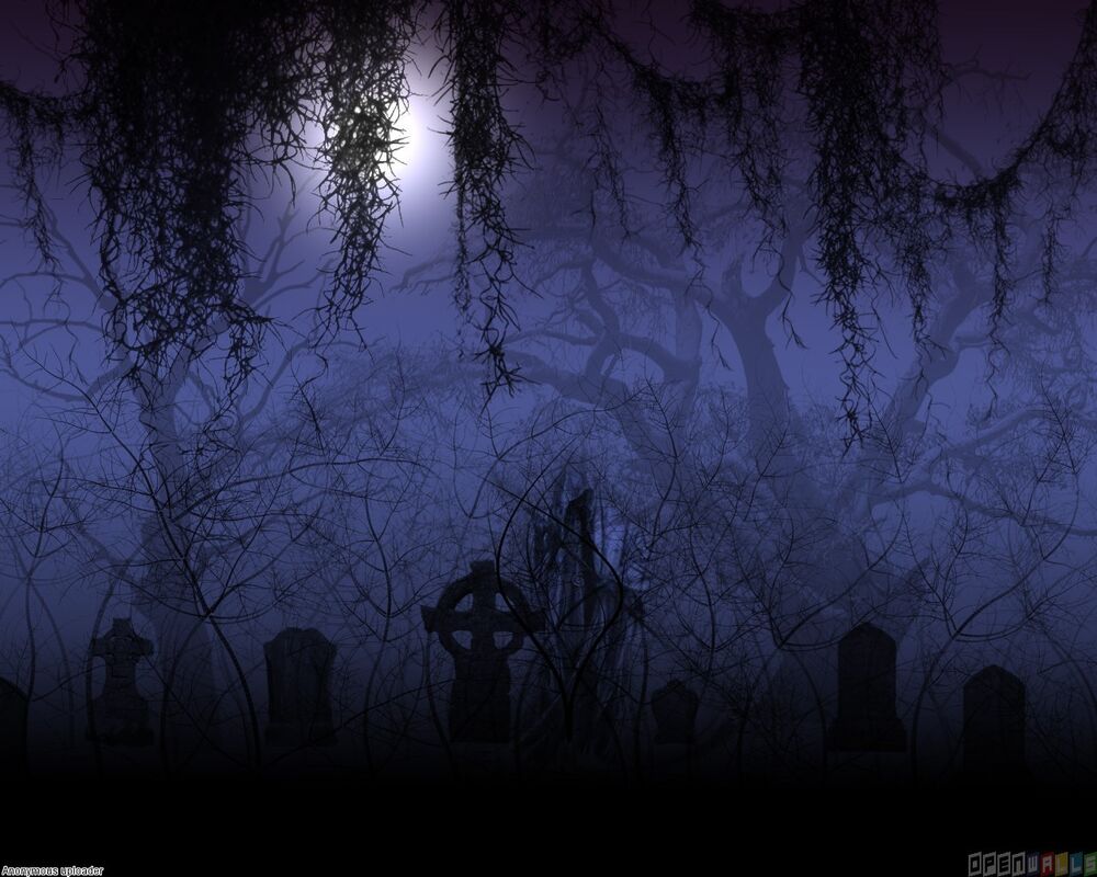 Echoes In The Night Echoes In The Night