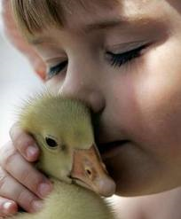 Sophie and the Duck Sophie and the Duck
