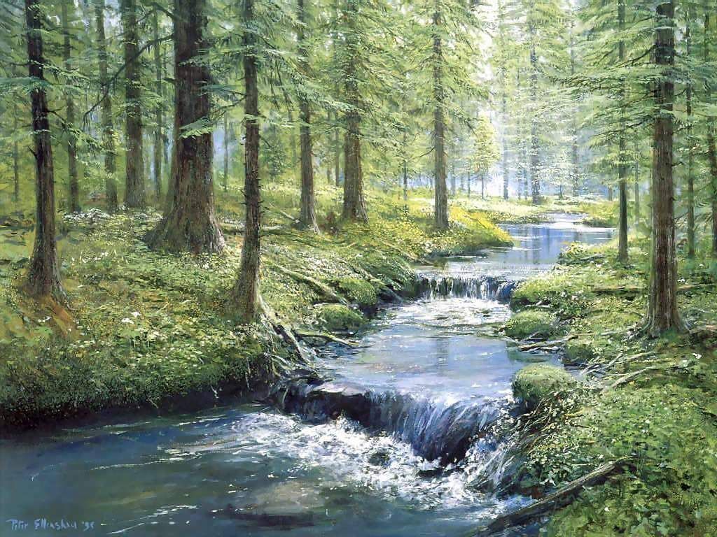 "Imaginary Streams" "Imaginary Streams"